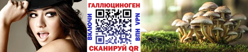 Галлюциногенные грибы Psilocybe  Электроугли 